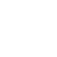 步枪手
